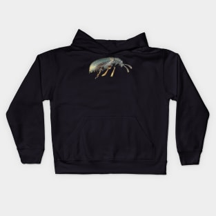 Very small fungus beetle under the microscope Kids Hoodie